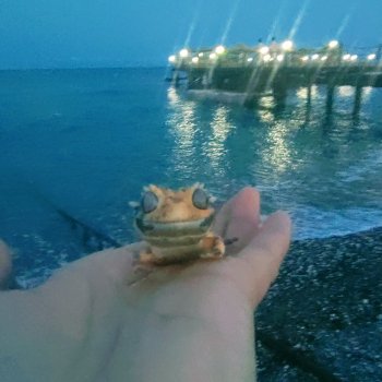 Гошка в отпуске с нами