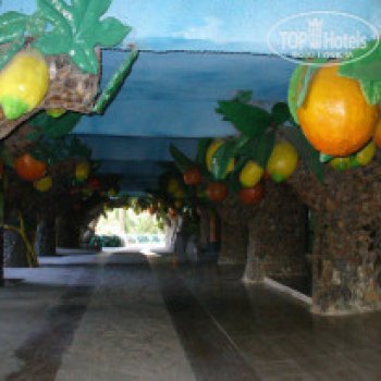 Отель -призрак Eco Dream Club. Турция, Чемьюва. Часть 2