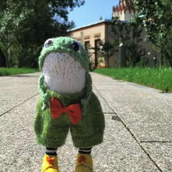 Семён - вязаный лягух.