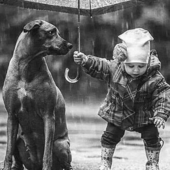 Ребята и зверята