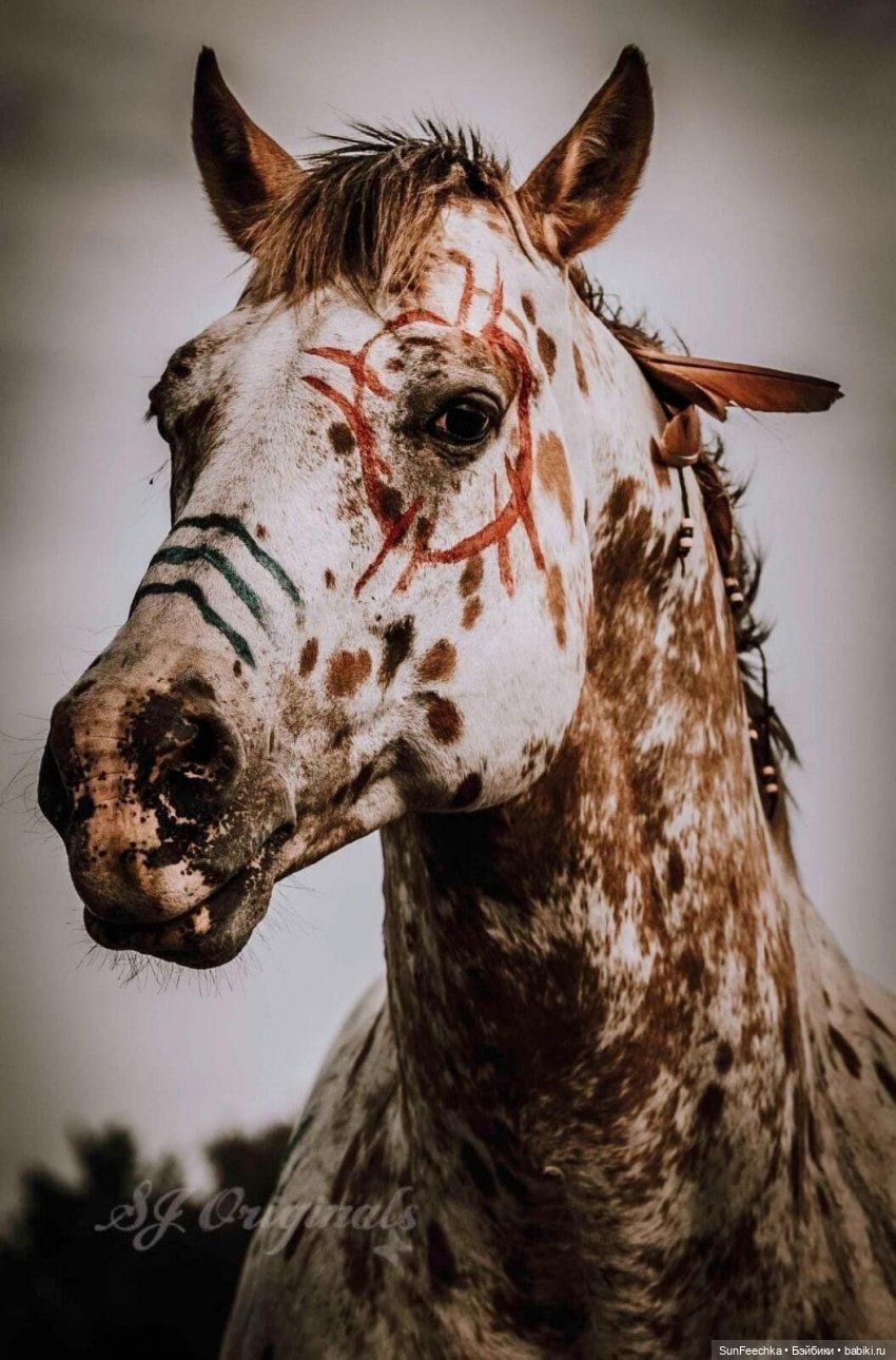 Боевой конь Сикис | Бэйбики Боевой конь Сикис — Коллекционные экшн (фото 7)