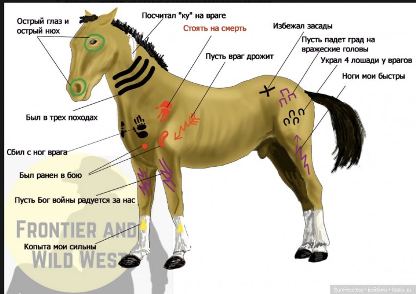 Боевой конь Сикис | Бэйбики Боевой конь Сикис — Коллекционные экшн