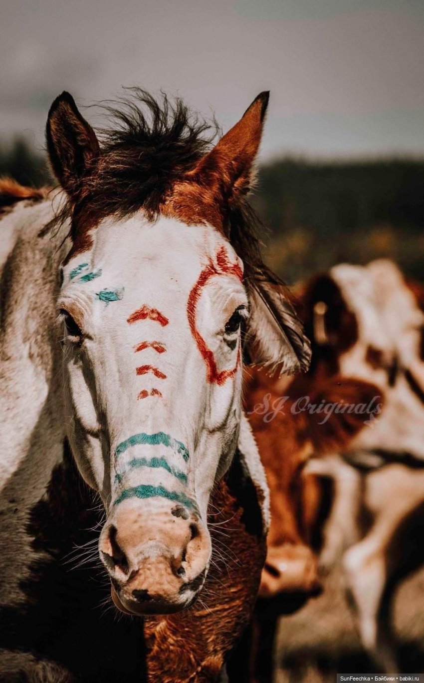 Боевой конь Сикис | Бэйбики Боевой конь Сикис — Коллекционные экшн (фото 3)
