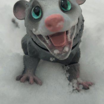 Опоссум Семён