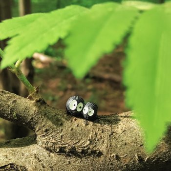 Маленький D! (Ди)