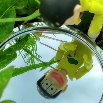 Яркие моменты