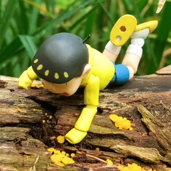 Пока лето с нами