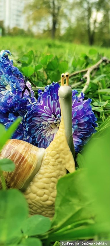 Семён и Савелий. Краткое знакомство (фото 4)