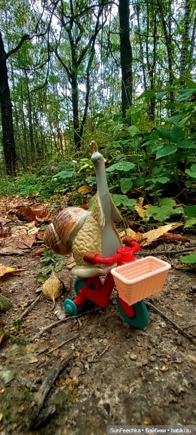 Большое путешествие обыкновенной улитки