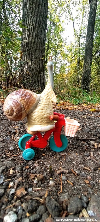 Большое путешествие обыкновенной улитки (фото 8)