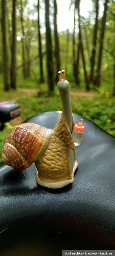 Большое путешествие обыкновенной улитки