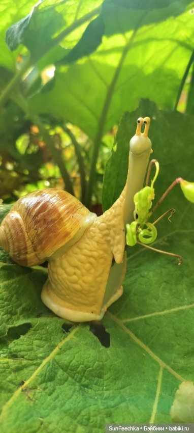 Большое путешествие обыкновенной улитки