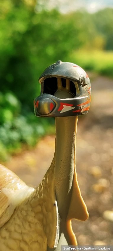 Большое путешествие обыкновенной улитки (фото 2)