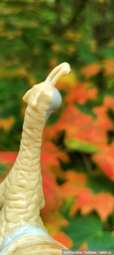 Большое путешествие обыкновенной улитки (фото 4)