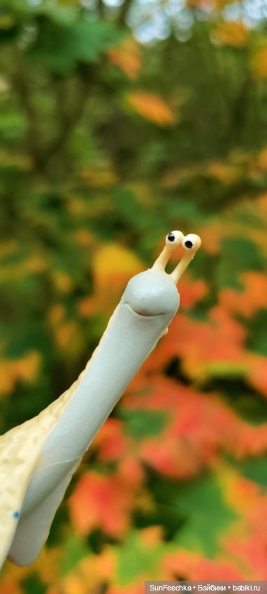 Большое путешествие обыкновенной улитки (фото 7)