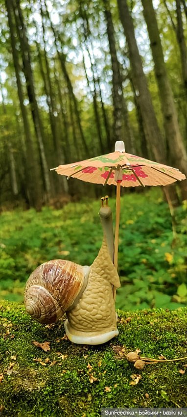 Большое путешествие обыкновенной улитки