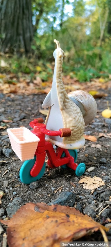 Большое путешествие обыкновенной улитки (фото 9)