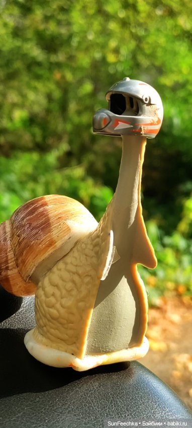 Большое путешествие обыкновенной улитки (фото 3)