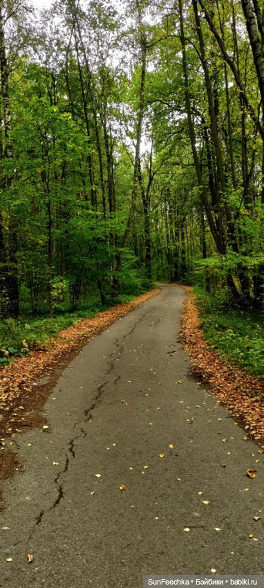 Большое путешествие обыкновенной улитки (фото 5)