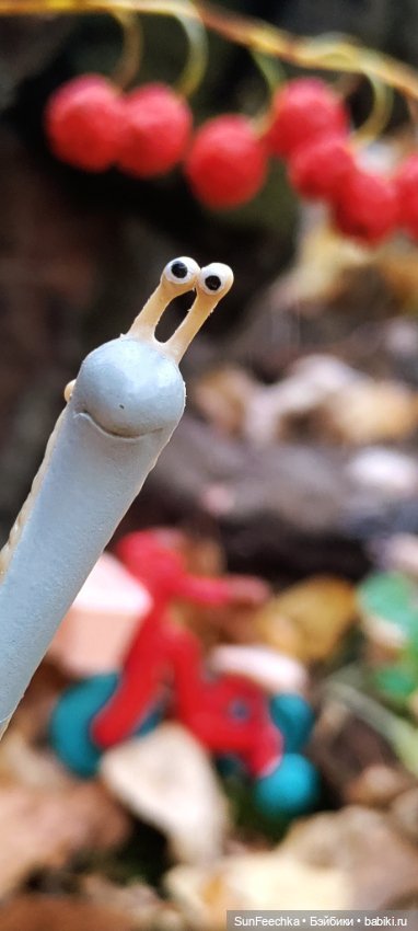 Субботнее утро обыкновенной улитки (фото 5)