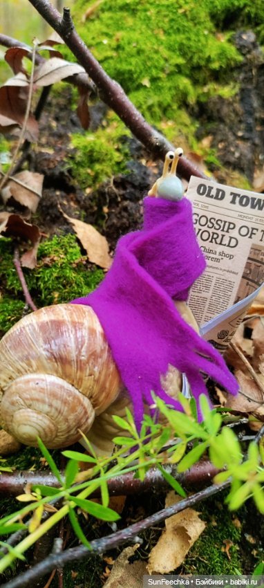 Субботнее утро обыкновенной улитки (фото 3)