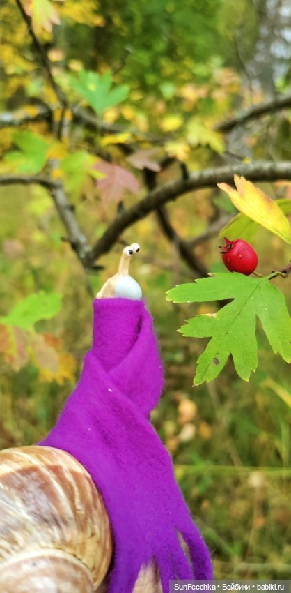 Субботнее утро обыкновенной улитки (фото 6)