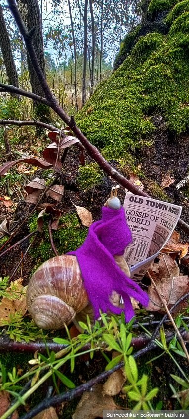 Субботнее утро обыкновенной улитки (фото 4)