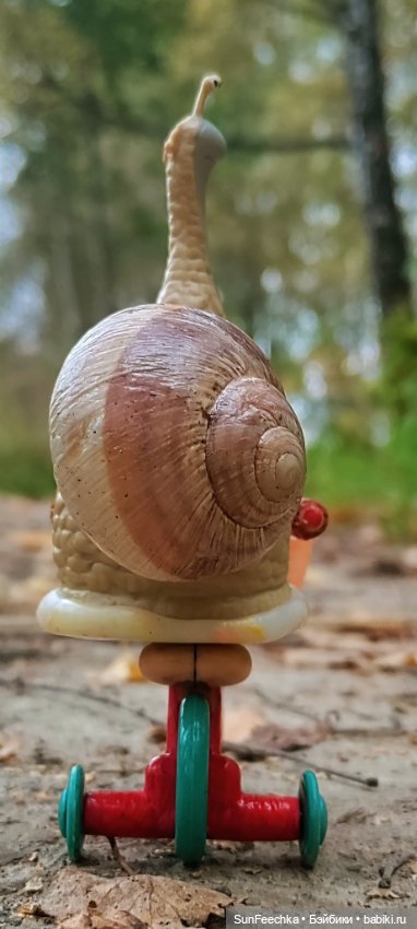 Субботнее утро обыкновенной улитки