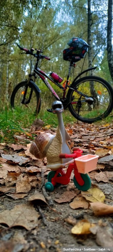 Субботнее утро обыкновенной улитки