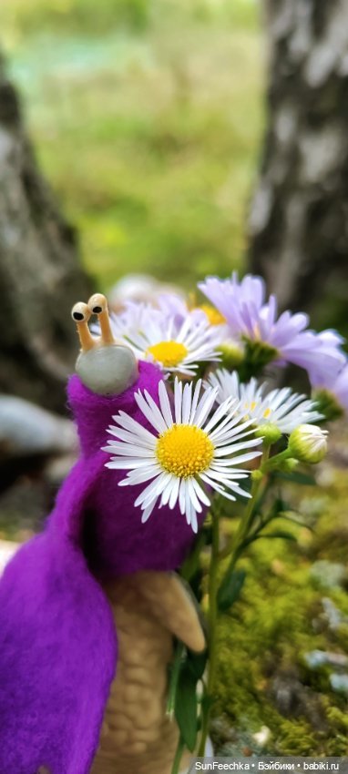 Субботнее утро обыкновенной улитки (фото 10)