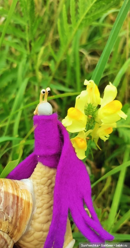 Субботнее утро обыкновенной улитки (фото 7)