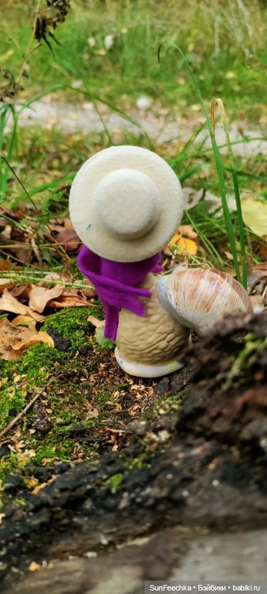 Субботнее утро обыкновенной улитки