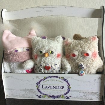 Pocket Peepers или Карманные Наблюдатели