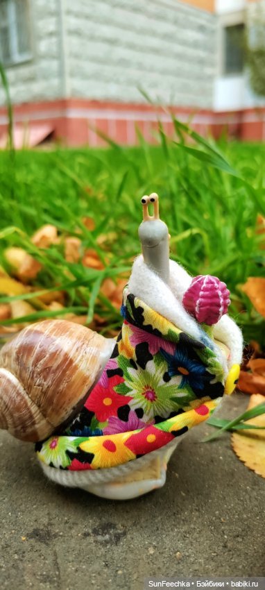 Тихое счастье обыкновенной улитки