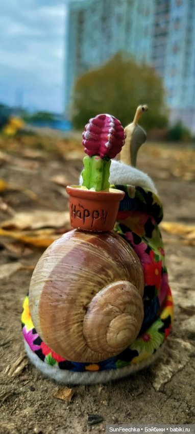 Тихое счастье обыкновенной улитки