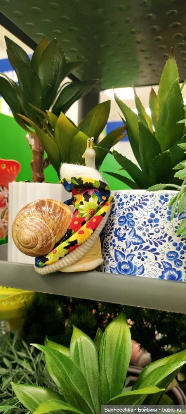 Тихое счастье обыкновенной улитки (фото 6)