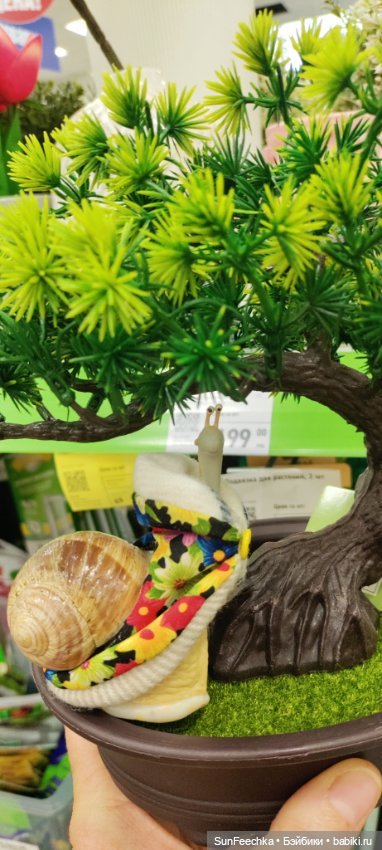 Тихое счастье обыкновенной улитки (фото 9)