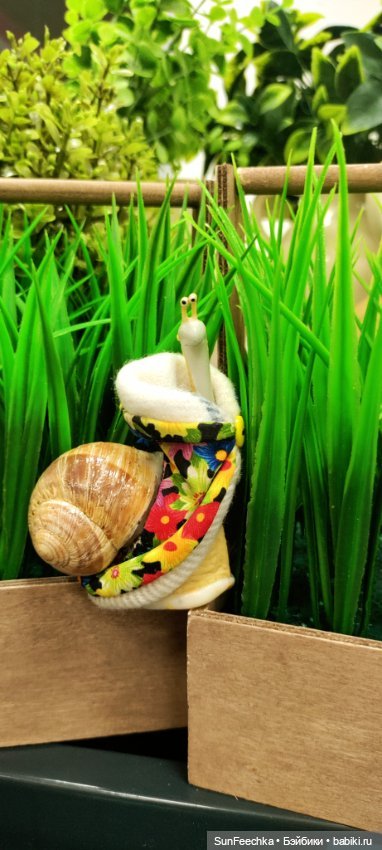 Тихое счастье обыкновенной улитки (фото 10)