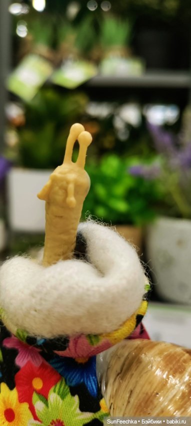 Тихое счастье обыкновенной улитки (фото 3)