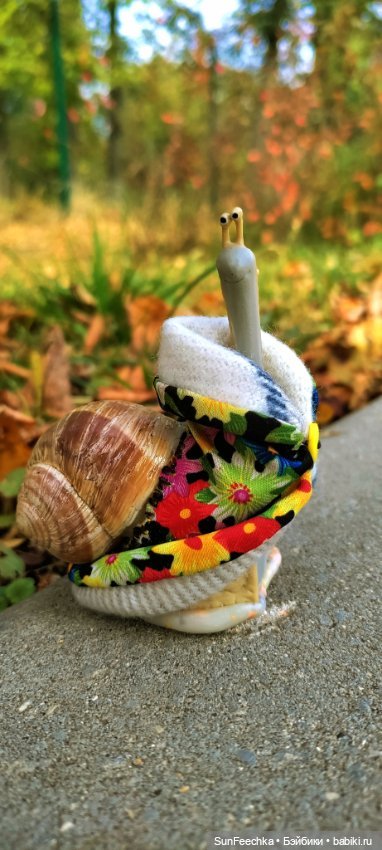 Тихое счастье обыкновенной улитки