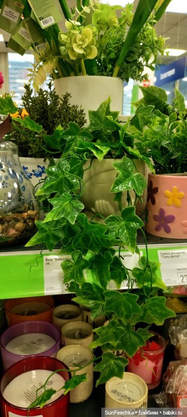 Тихое счастье обыкновенной улитки (фото 4)