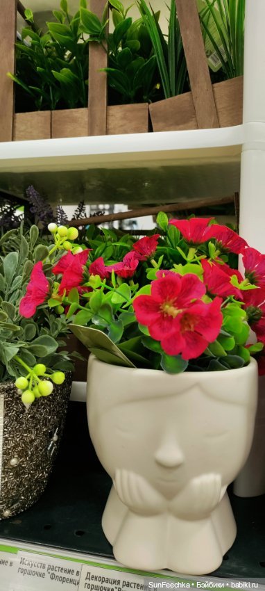 Тихое счастье обыкновенной улитки (фото 7)