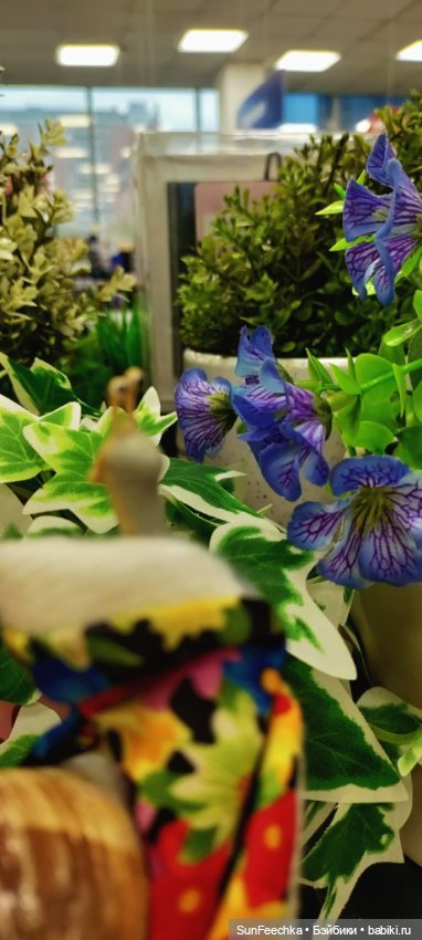 Тихое счастье обыкновенной улитки (фото 8)