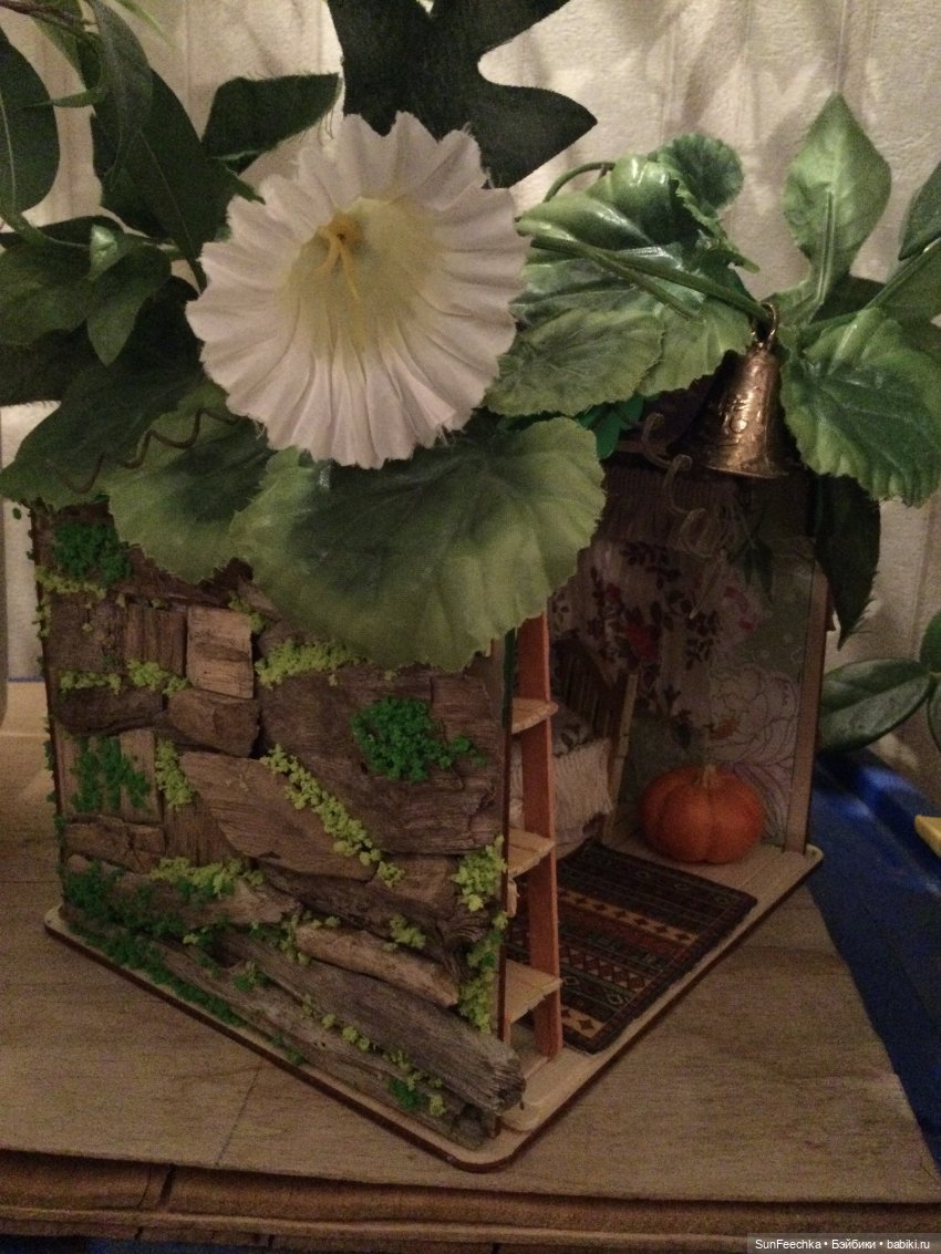 Своя Вселенная обыкновенной улитки