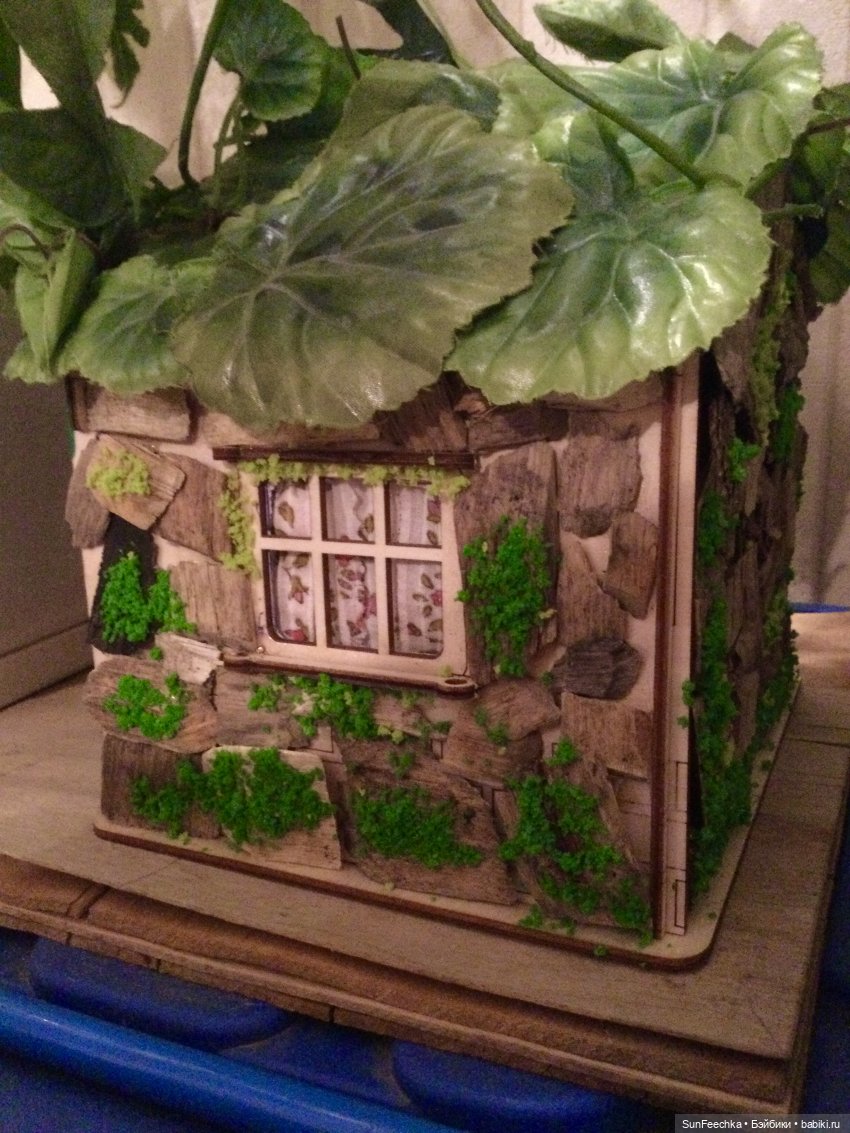 Своя Вселенная обыкновенной улитки (фото 3)