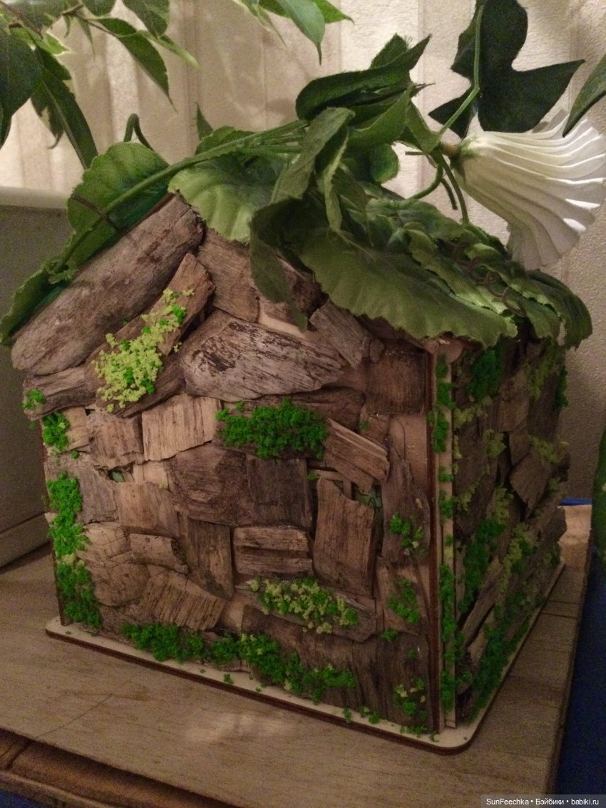 Своя Вселенная обыкновенной улитки (фото 2)