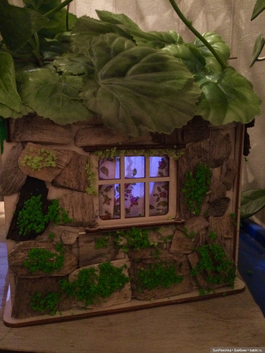 Своя Вселенная обыкновенной улитки