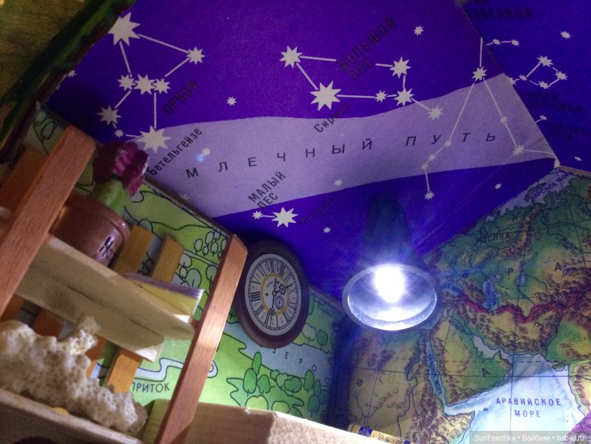 Своя Вселенная обыкновенной улитки (фото 6)