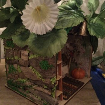 Своя Вселенная обыкновенной улитки