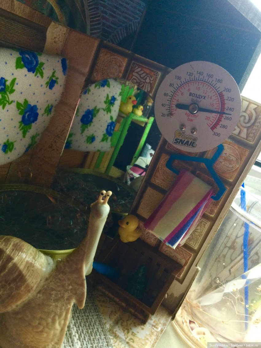 Чистый четверг обыкновенной улитки (фото 8)